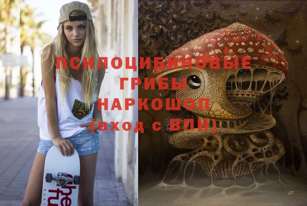 стаф Абаза