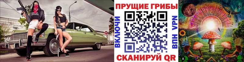 Галлюциногенные грибы MAGIC MUSHROOMS  закладки  Ак-Довурак 
